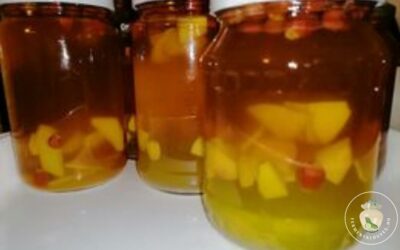Fermentált birsalma-csipkebogyólé recept Csillától