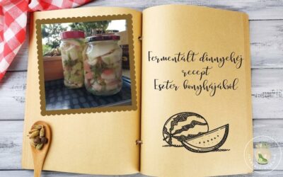 Fermentált dinnyehéj recept Esztertől