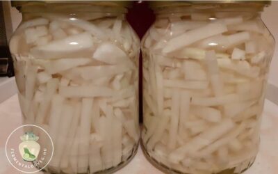 Fermentált fekete retek recept Beatrixtól
