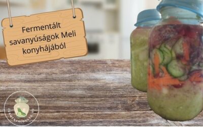 Fermentált savanyú káposzta és vegyes savanyúság receptek Melitől