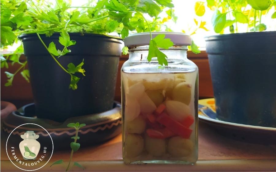 Fermentált szőlő recept Andreától