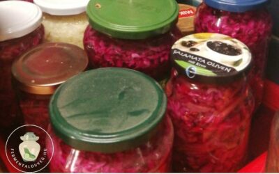 Fermentált vegyes savanyúság Veronikától