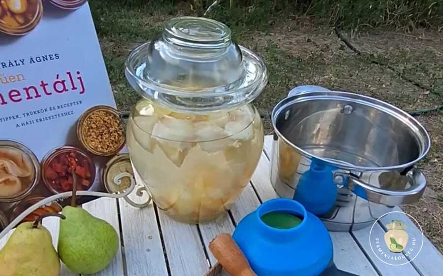 Fermentált körtés üdítő