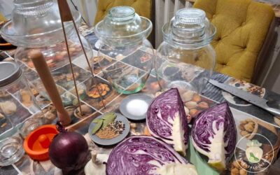 Fermentált lilakáposzta recept