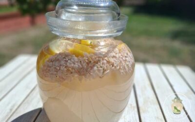 Fermentált orgonás limonádé