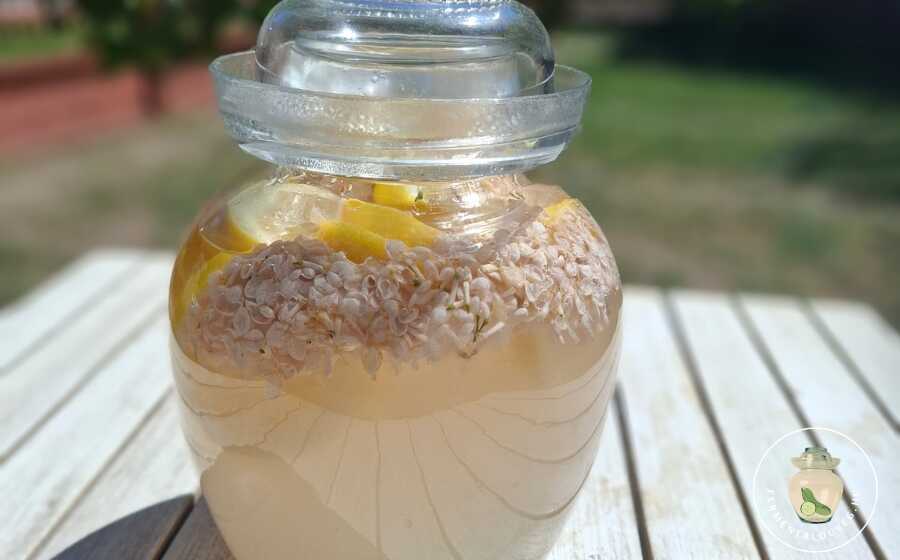 Fermentált orgonás limonádé