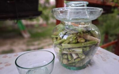 Fermentált spárga recept